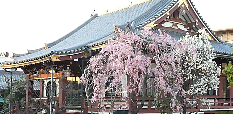 お問い合わせ・アクセス